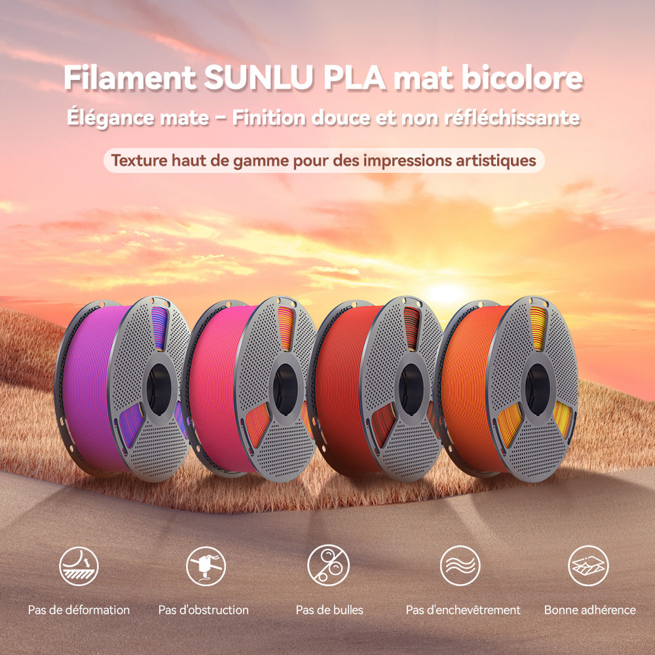 [Achetez 4, économisez 2 €/KG] PLA Matte Dual-Color Filament Esthétique pour Imprimante 3D 1KG, Dégradés Bicolores Fluides & Finition Mate Douce